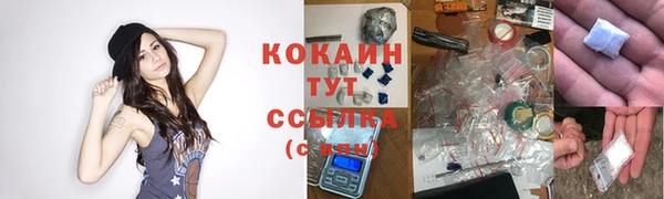 прущий лед Каменка